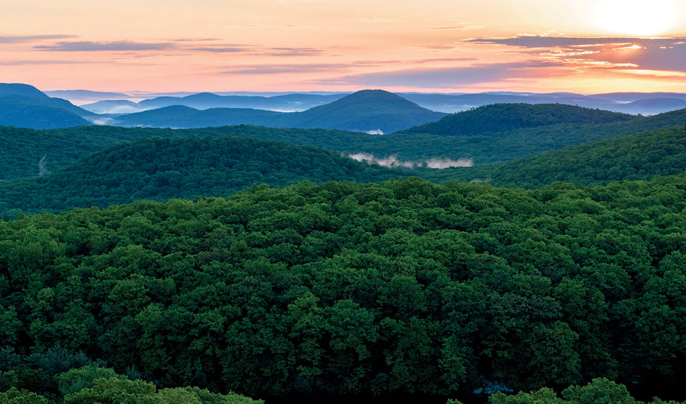 Green hills